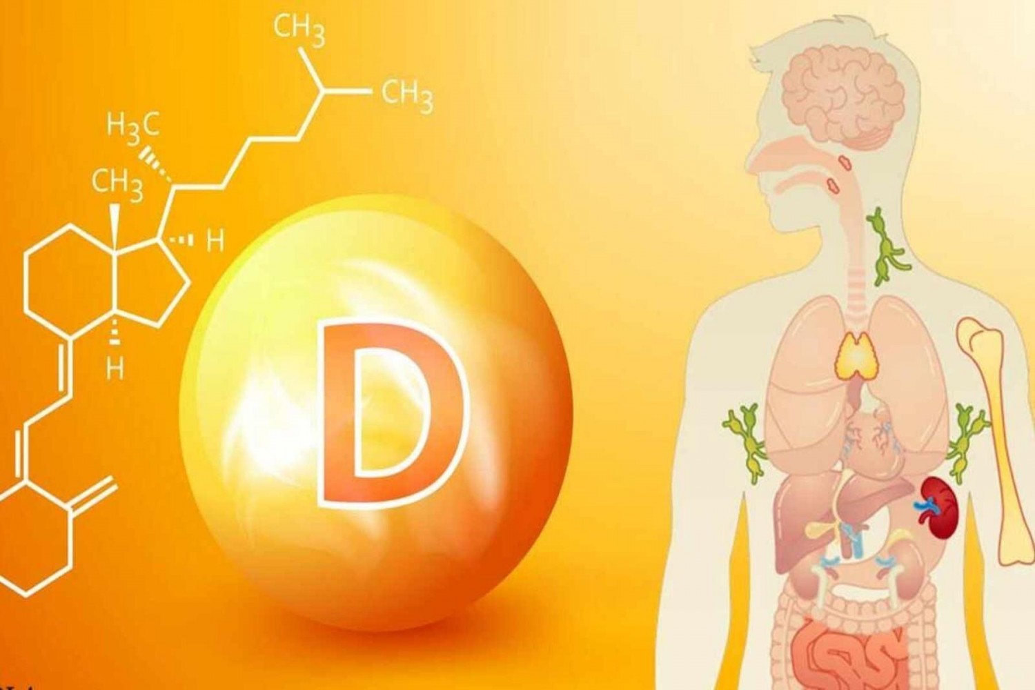 D-vitamin: ezek a tünetek mutatják, ha kevés van a szervezetedben