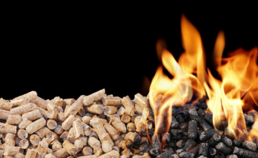 A biomassza segíthet az energiaválság megelőzésében.